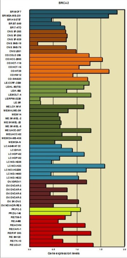 This is a bar chart of the nci60 cell lines with the RNA-seq expression values (a visual representation of the data contained in table 1).